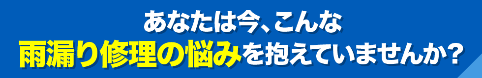 【ごんぎつね様専用】横須賀　スカジャン 刺繍　花×鳥　スーベニアジャケット